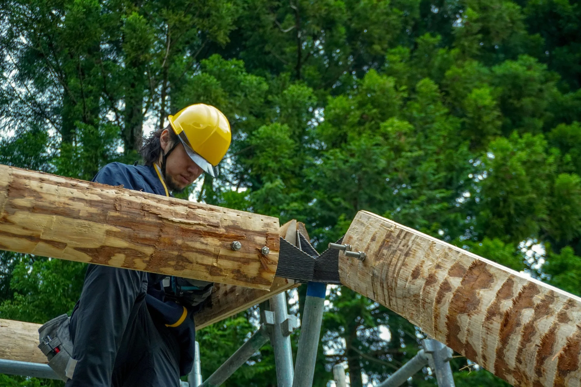 黄色いヘルメットを被った作業員が、緑豊かな森を背景に、大きな丸太の梁を金属製の接合部で組み立てている様子