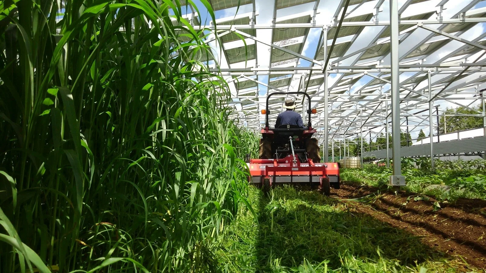 ウェルビーイングを育む大木戸モデル