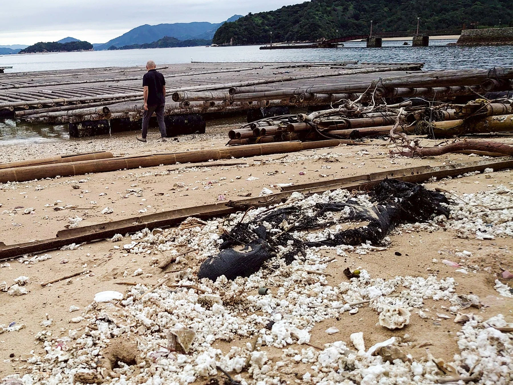 プロジェクトの様子