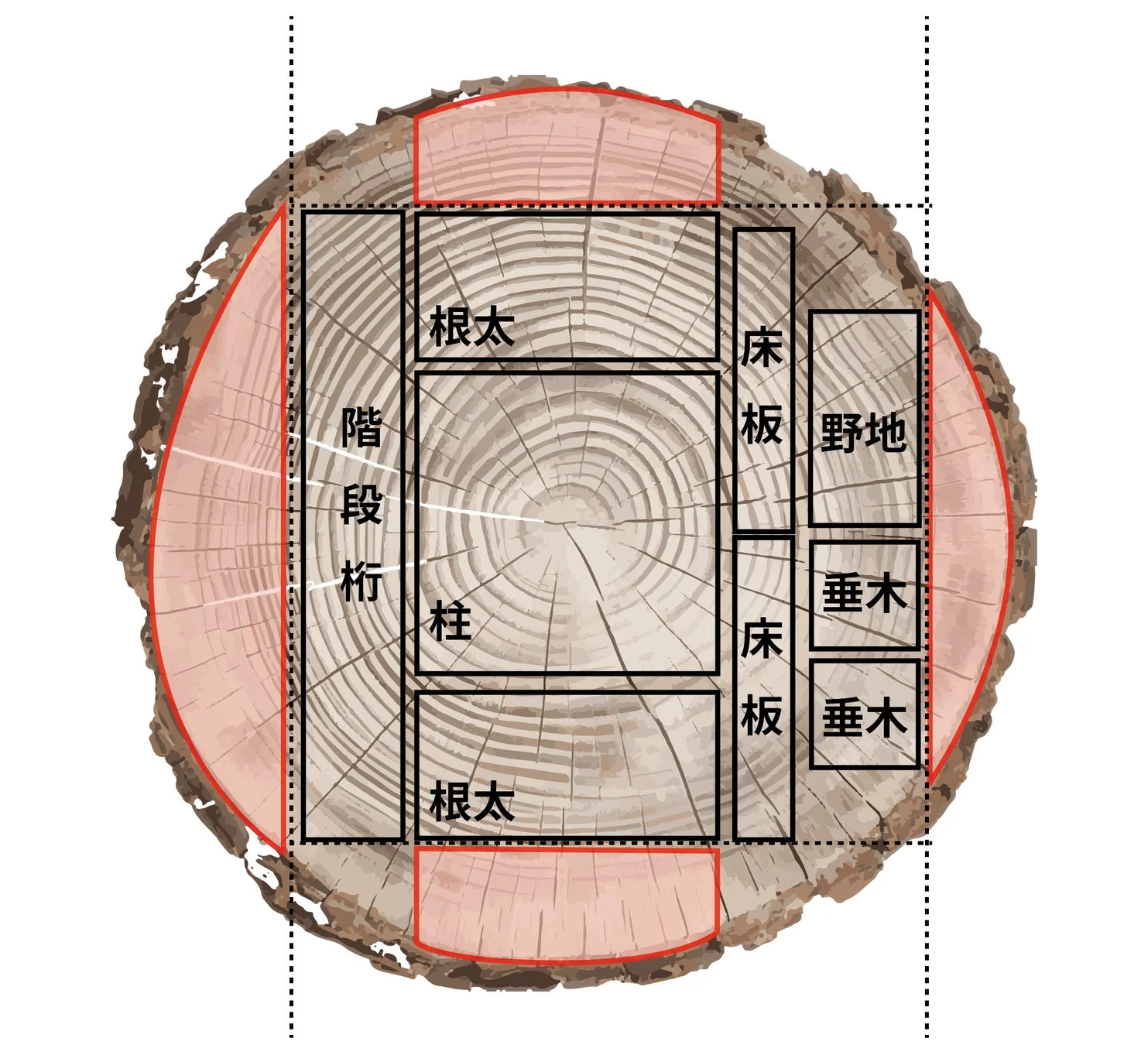 木の丸太の断面図を示しており、製材する際に得られる様々な建築部材がどこから切り出されるかを図解