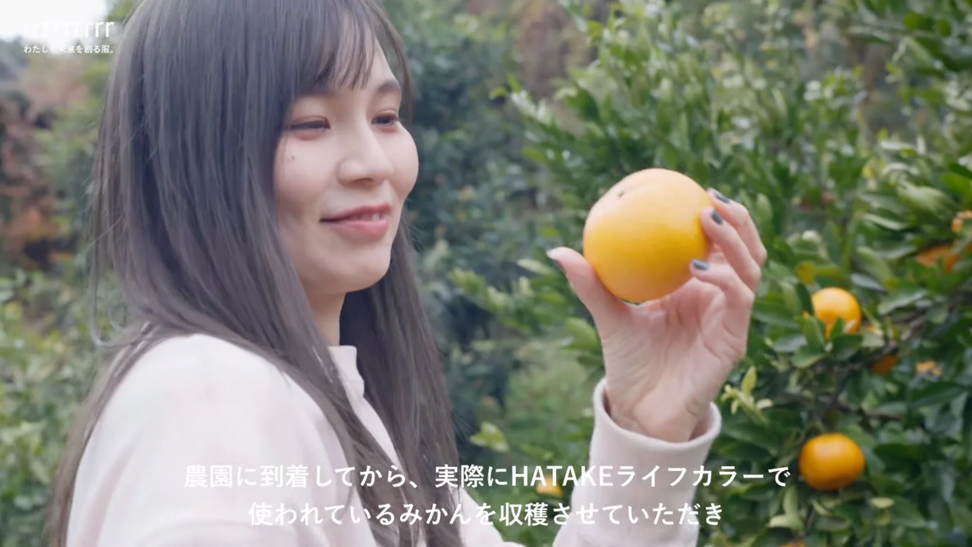 みかん収穫の女性