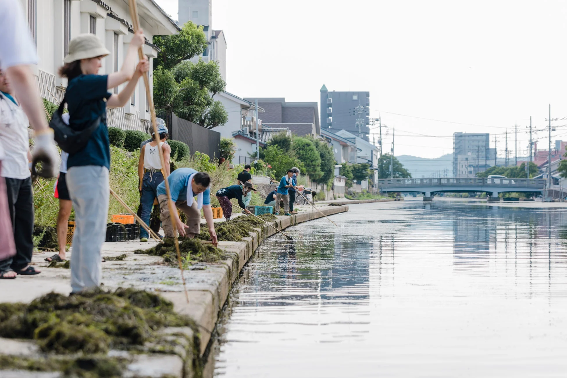 自然再生センターの活動風景