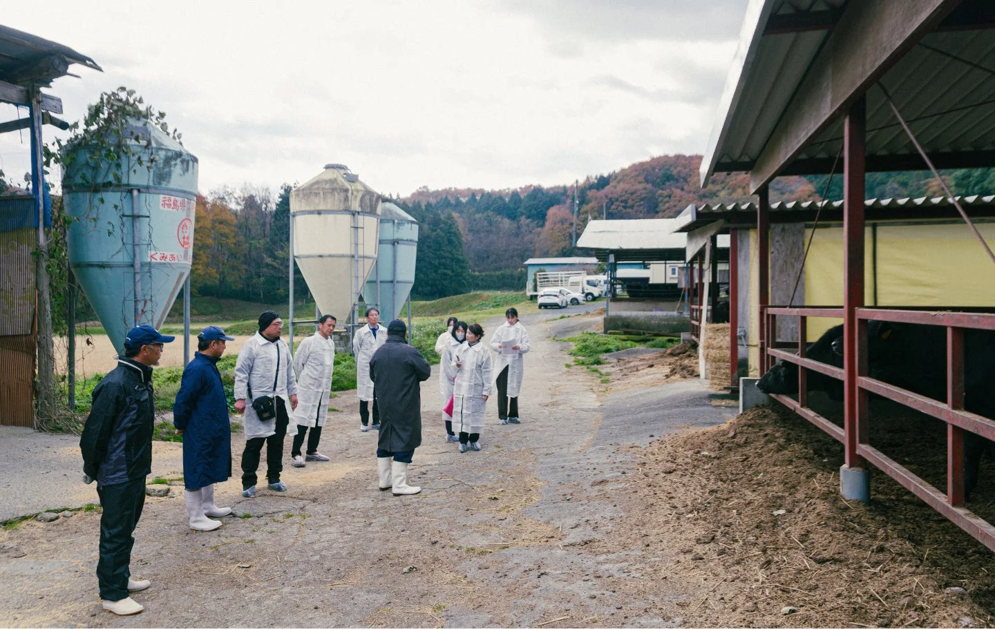 畜産施設を視察する人々