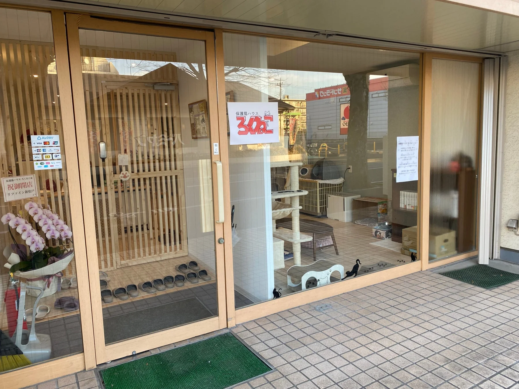 保護猫ハウス ろくねこの入り口