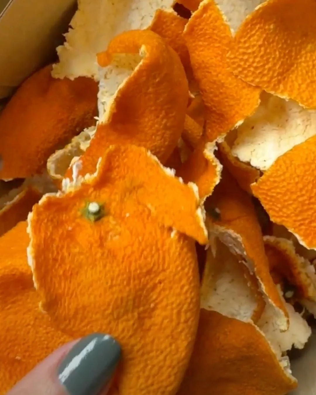 みかんの果皮