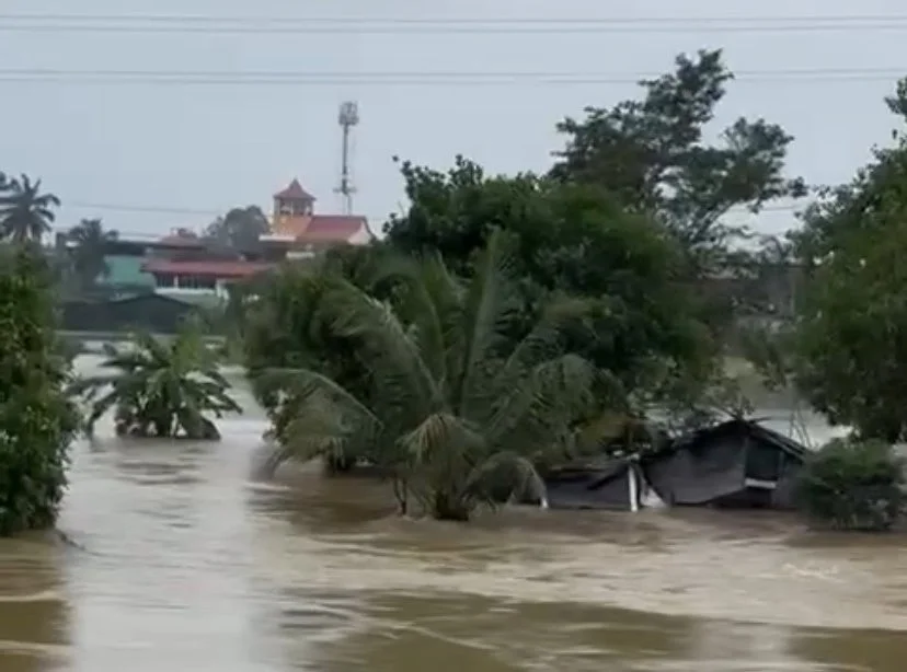 広範囲に及ぶ濁流の洪水