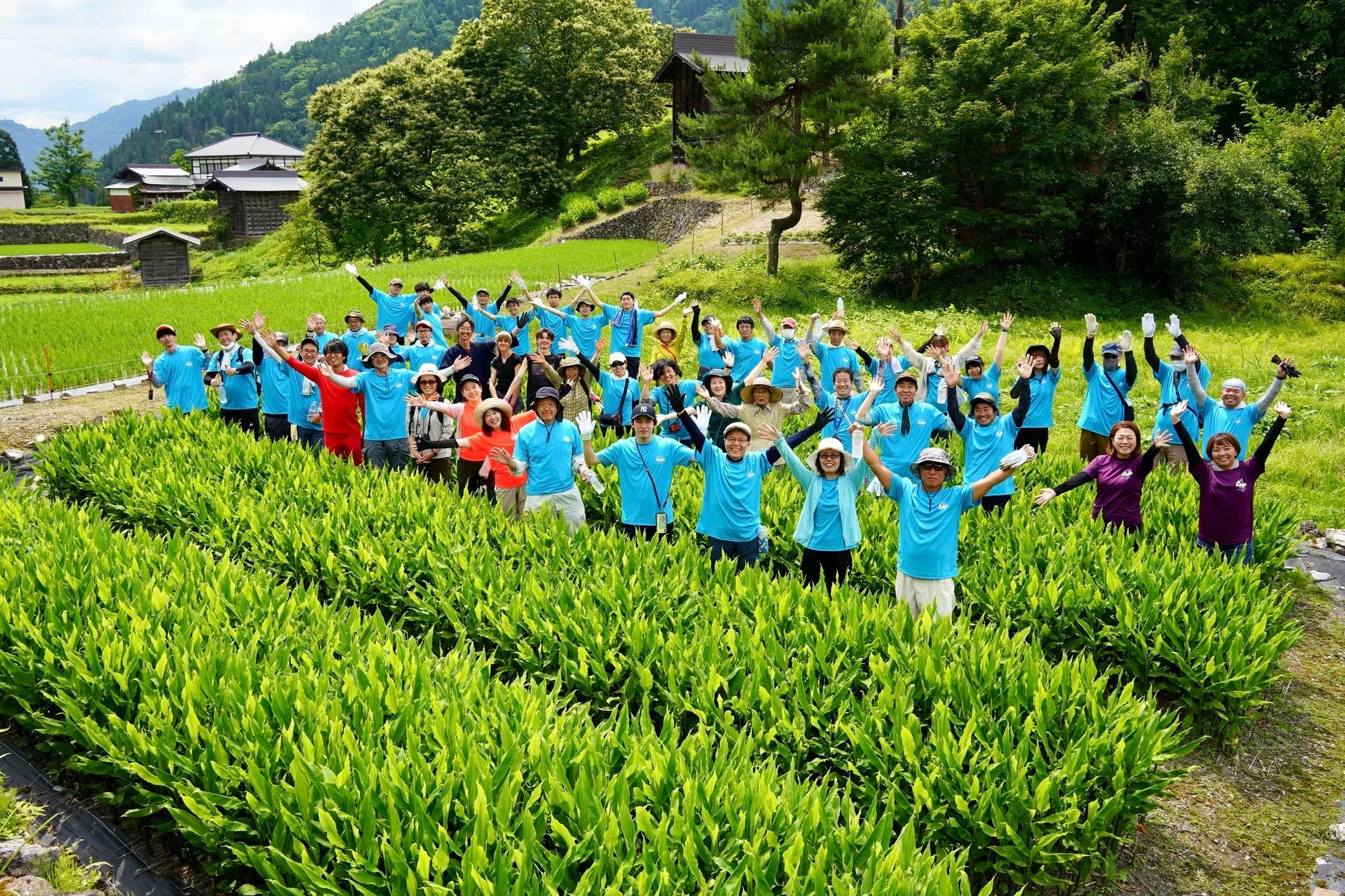 農作業をする人々の集合写真