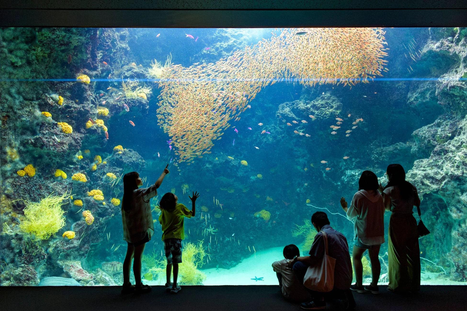 巨大な水槽で、たくさんの小魚が群れをなして泳ぐ様子を、数人の人々が鑑賞している場面です。サンゴ礁や岩場も見て取れます。