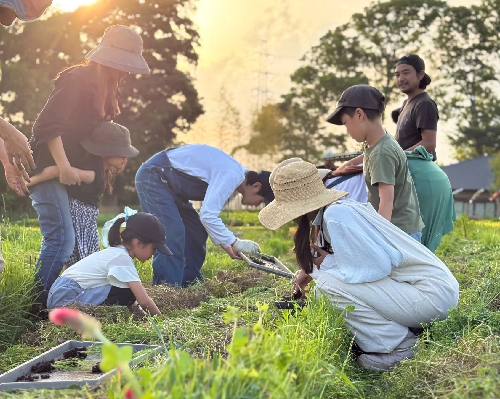 夕焼けが美しい畑で、大人と子供たちが一緒に畑仕事を楽しんでいる
