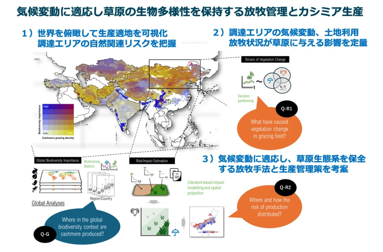 気候変動に適応し草原の生物多様性を保全する放牧管理とカシミア生産に関する研究フレームワーク