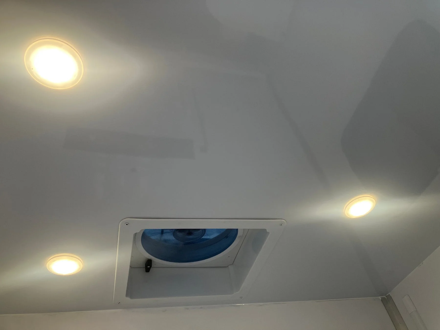 白い天井にダウンライトと換気扇が設置された様子