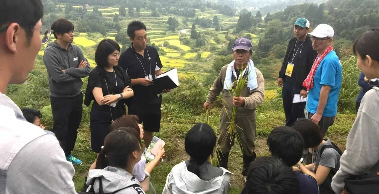 棚田が広がる美しい風景の中で、高齢の男性が稲穂を持ち、集まった人々に向けて農業について説明している様子