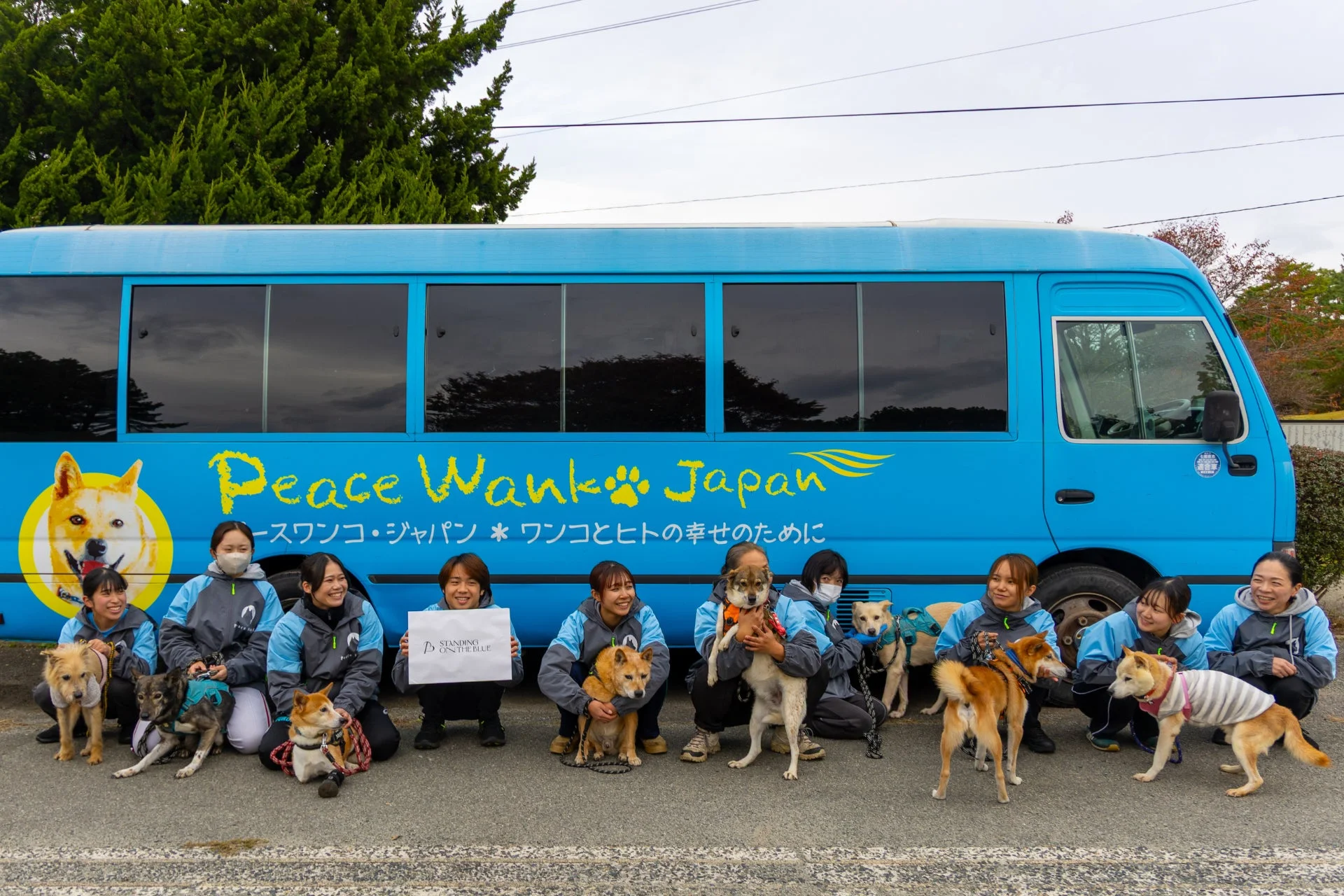 スタッフと保護犬たち