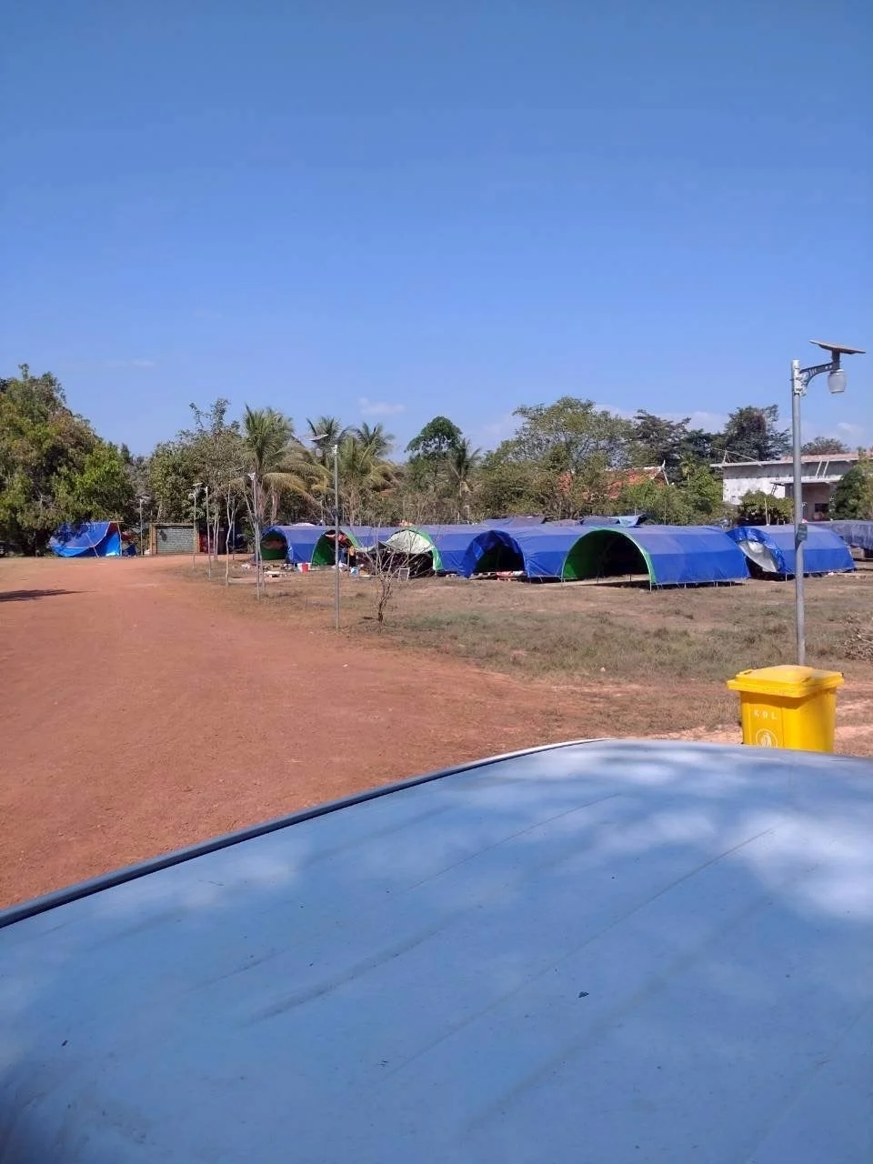 青いテントとヤシの木