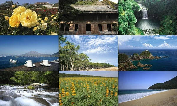 自然,風景,花,バラ,寺,建物,滝,川,海,山,火山,灯台,ビーチ,松林,コーヒーカップ,湖,黄色い花畑,植物,観光地