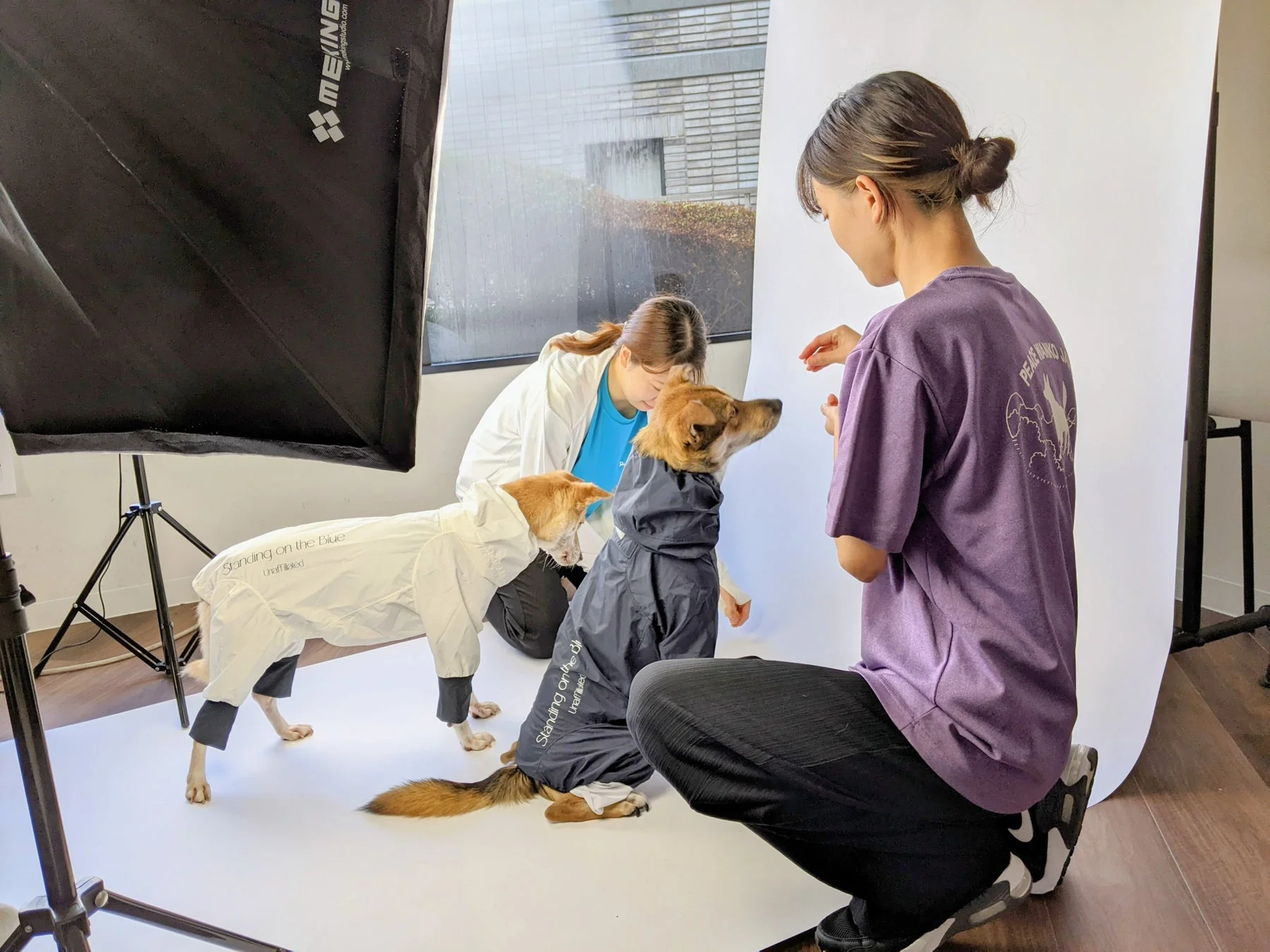 保護犬とレインスーツ