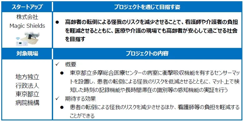 Magic Shields プロジェクト概要