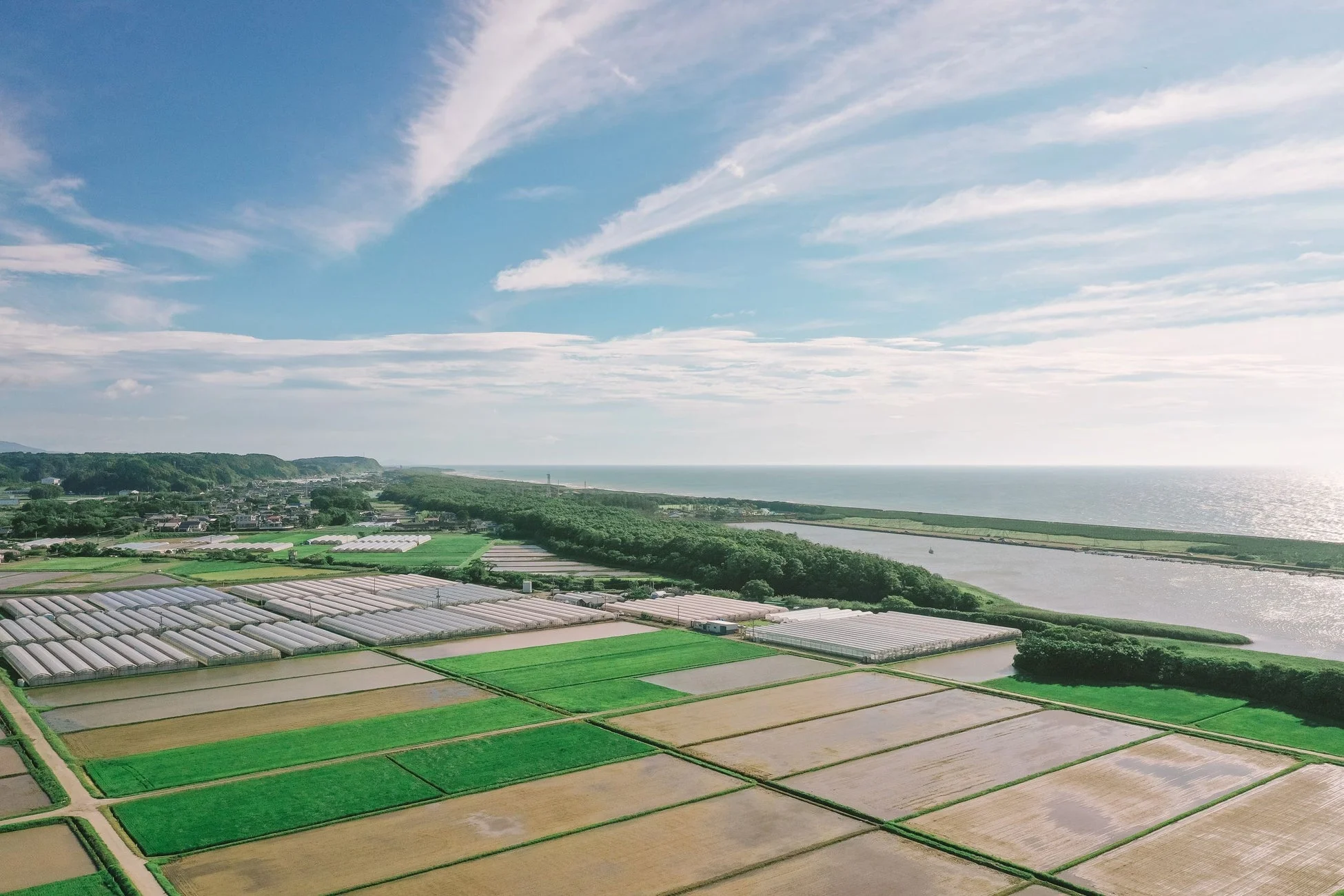 田んぼ、ビニールハウス、海