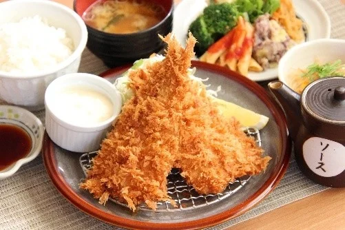 揚げ物定食のイメージ