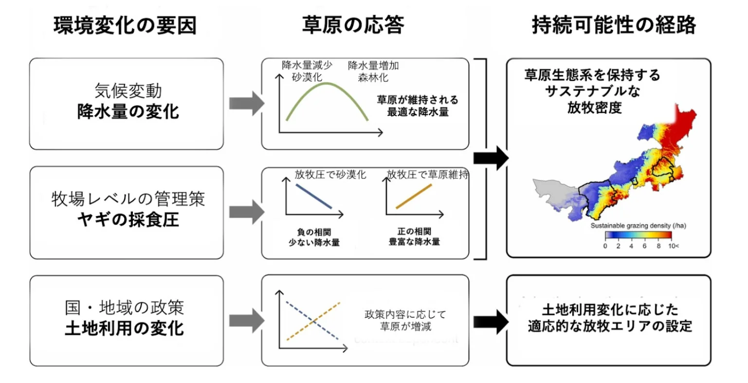 気候変動、放牧圧、土地利用政策が草原に与える影響と持続可能性の経路