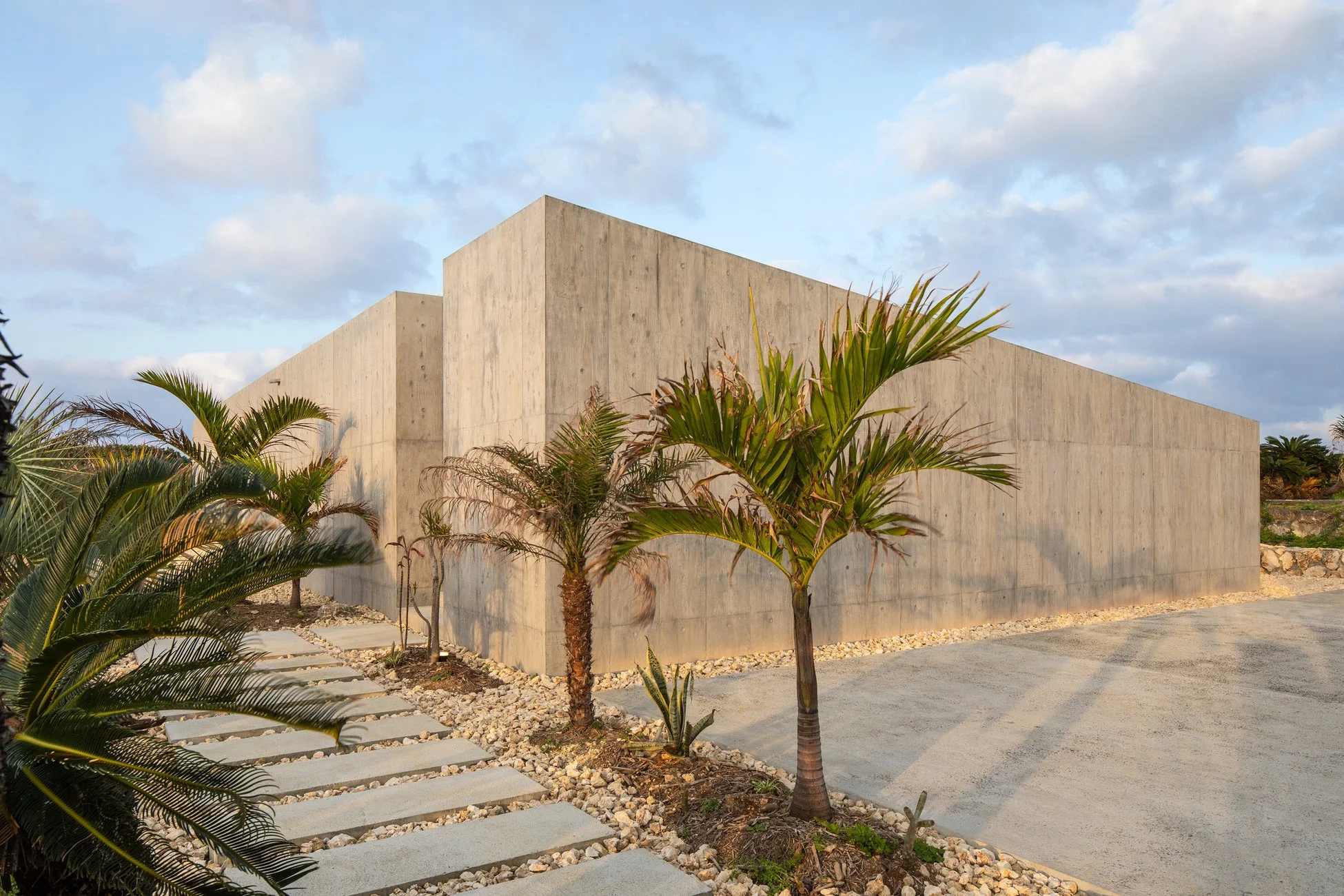 コンクリート打ちっ放しのモダンな建物と、ヤシの木が植えられた庭