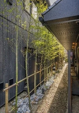 竹が植えられた細い路地