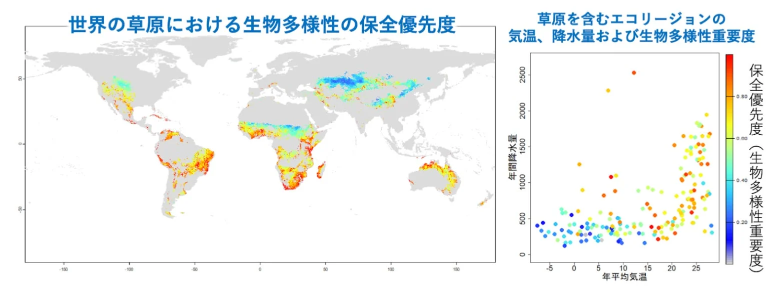 世界の草原における生物多様性の保全優先度を示す世界地図と散布図
