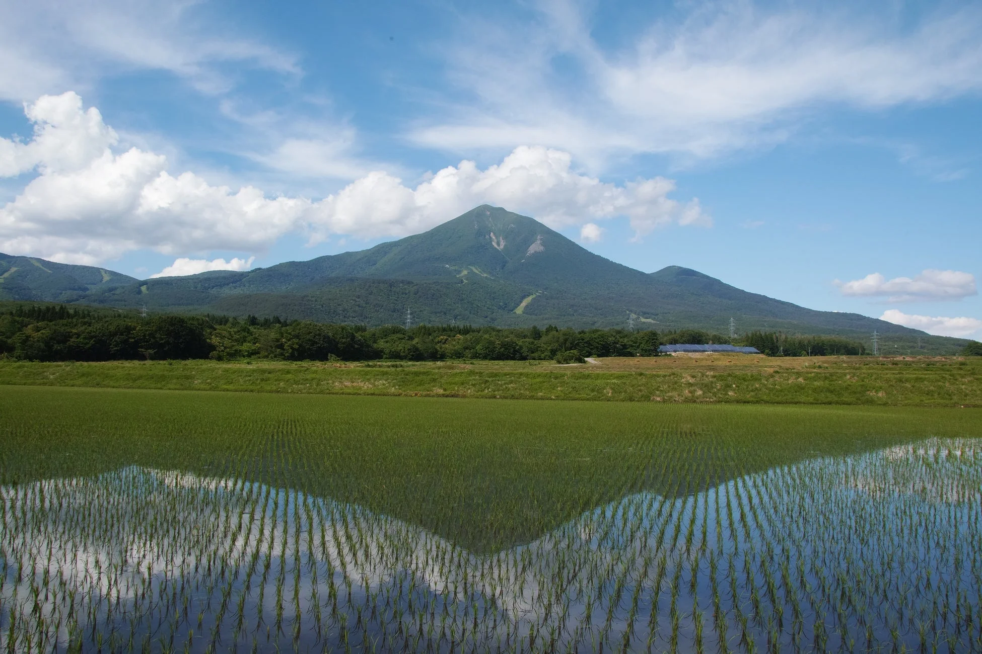 青い空と白い雲の下、緑豊かな山が手前の水田に鮮やかに映し出されている風景