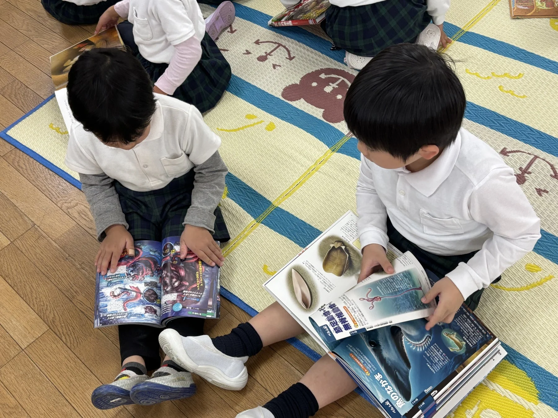 床で子供たちが図鑑を読む様子