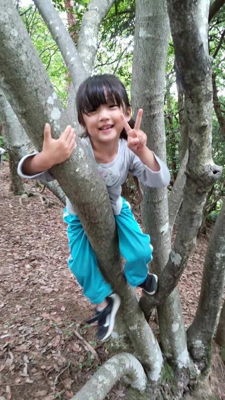 木登りをする子ども