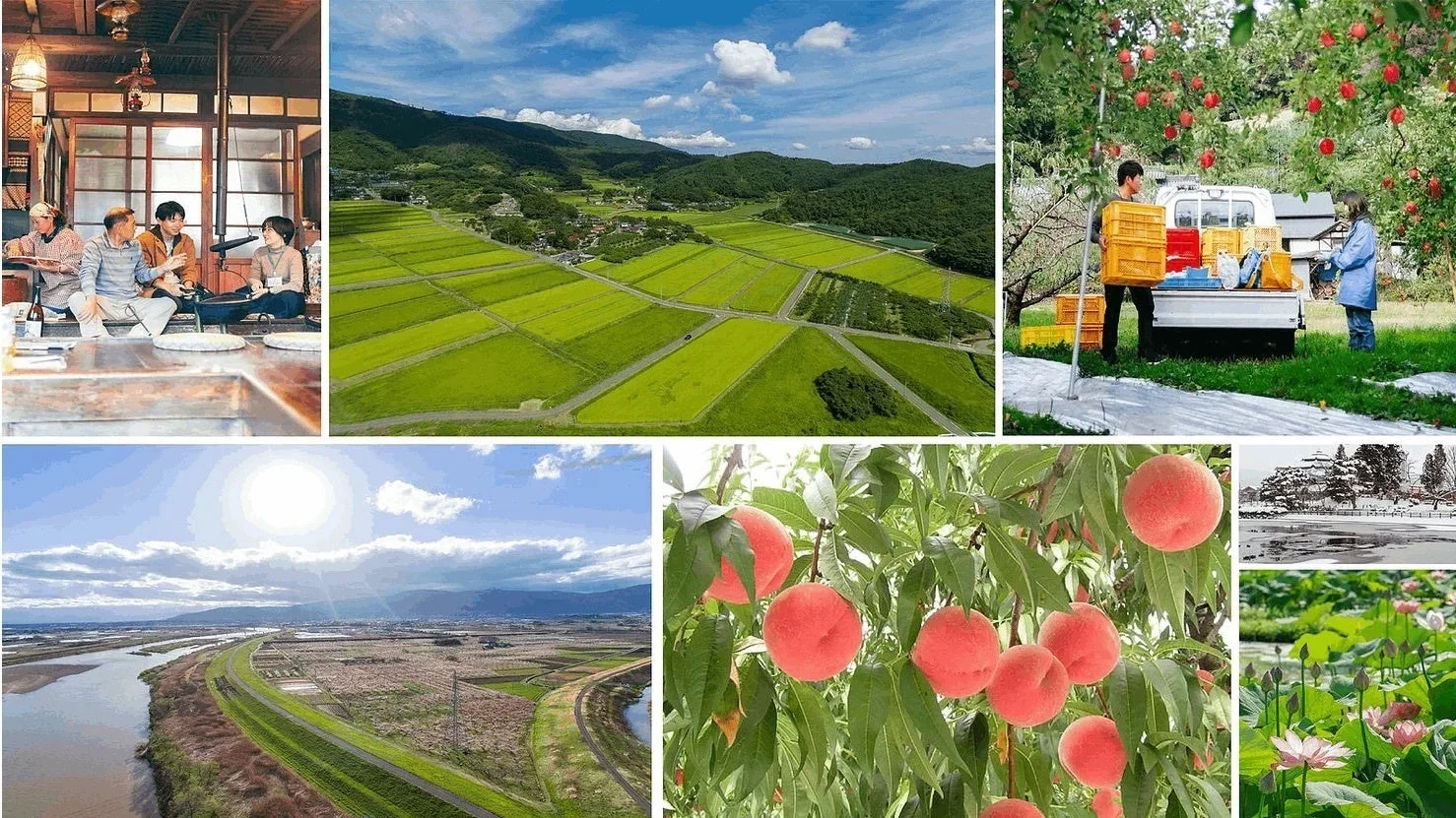 日本の田園風景と四季の営みを表現したコラージュ画像