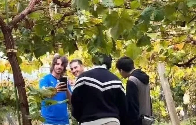 海外に向けてのコンテンツ発信事例