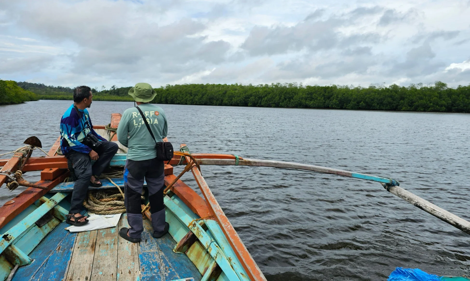 マングローブ林を進むボート