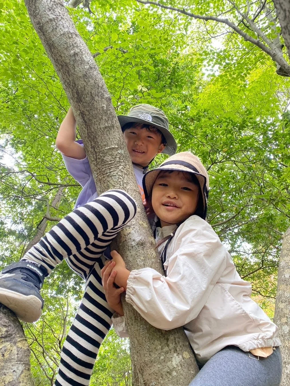 木登りを楽しむ子どもたち