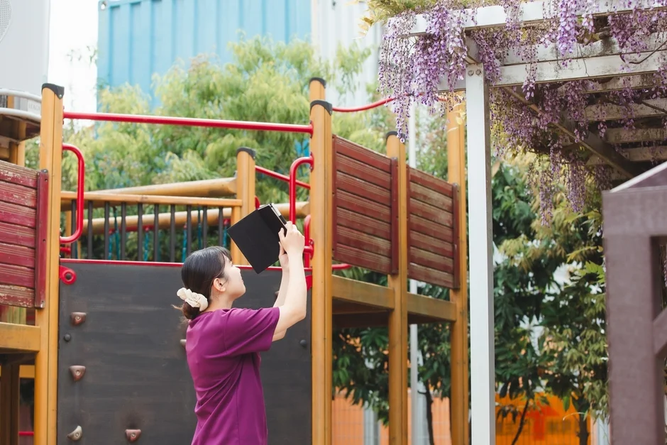 女性,タブレット,撮影,藤の花,藤棚,遊具,公園,春,花見