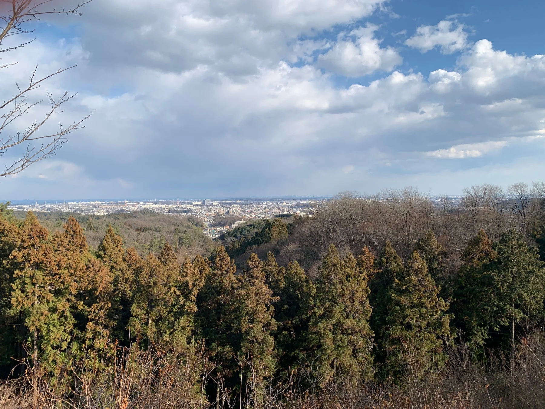 高台から見下ろす街並みと自然が広がる風景