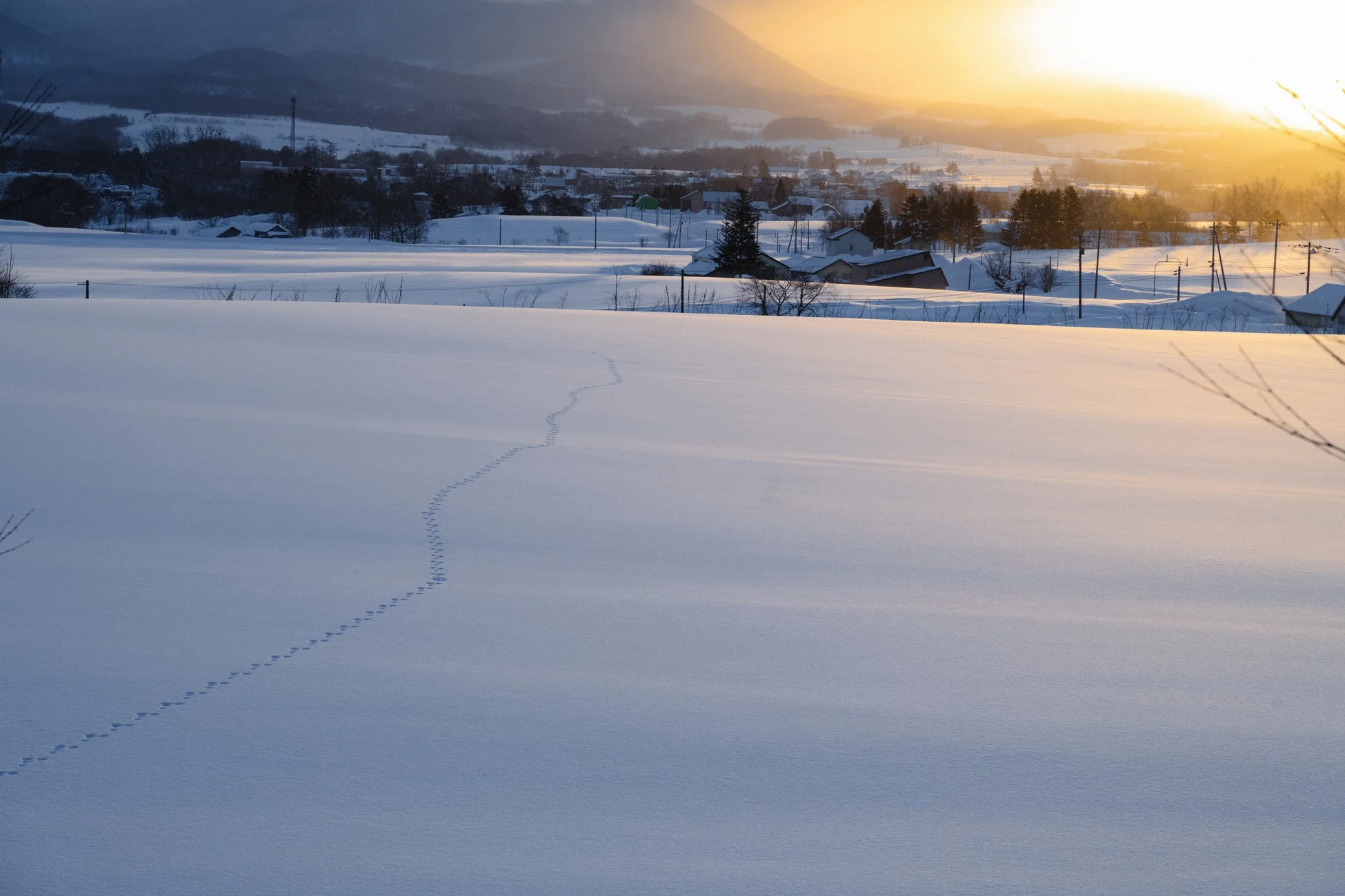 雪原と夕焼け/朝焼け