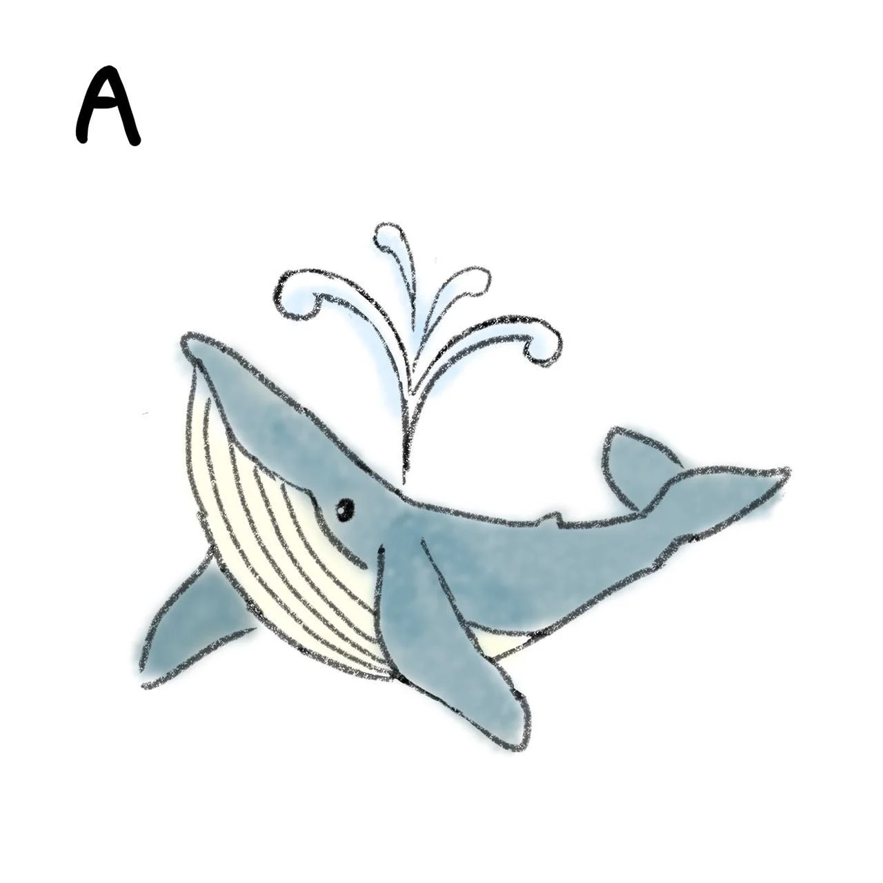 クジラのデザイン案A