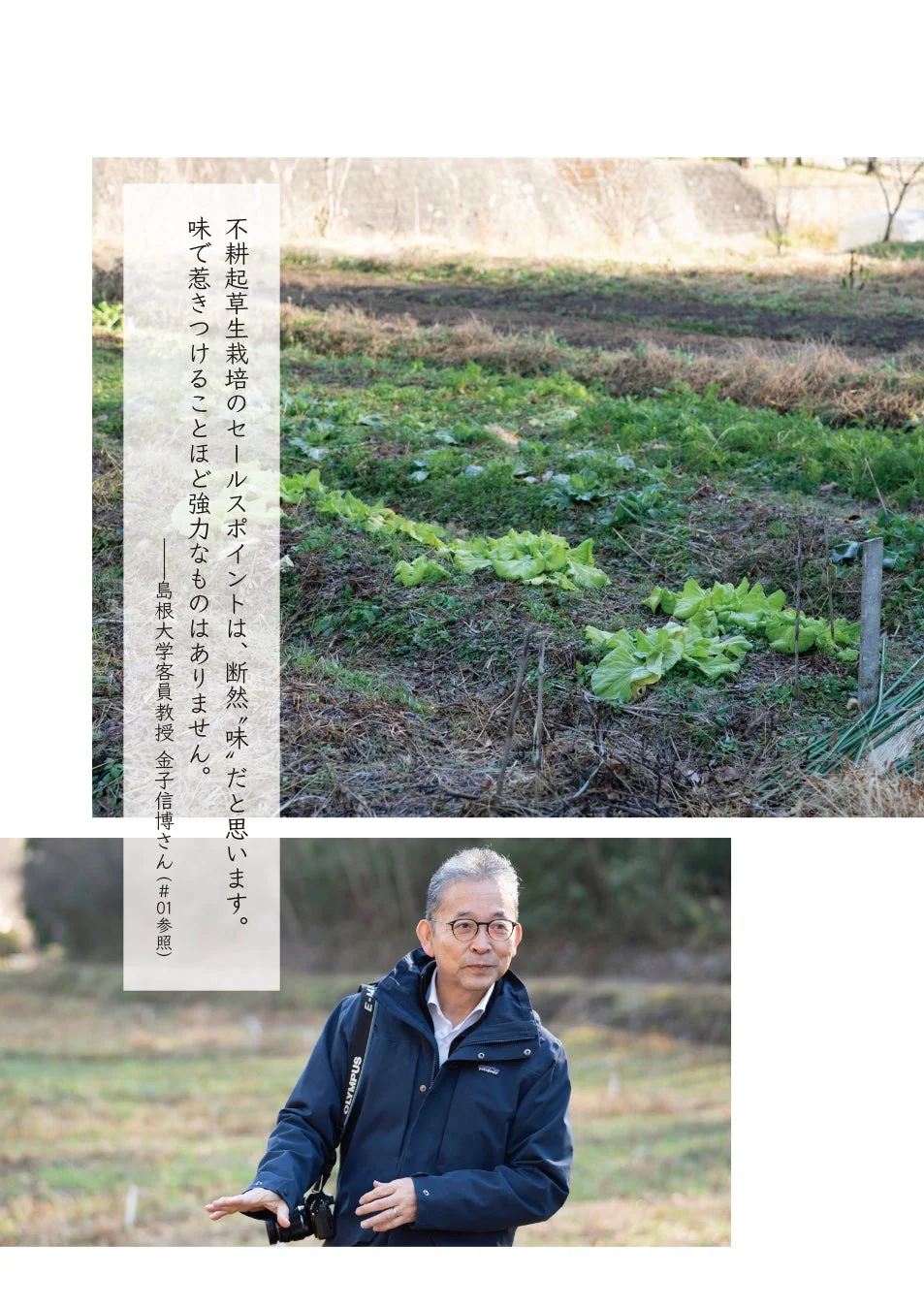 不耕起草生栽培の畑と金子信博さんの言葉