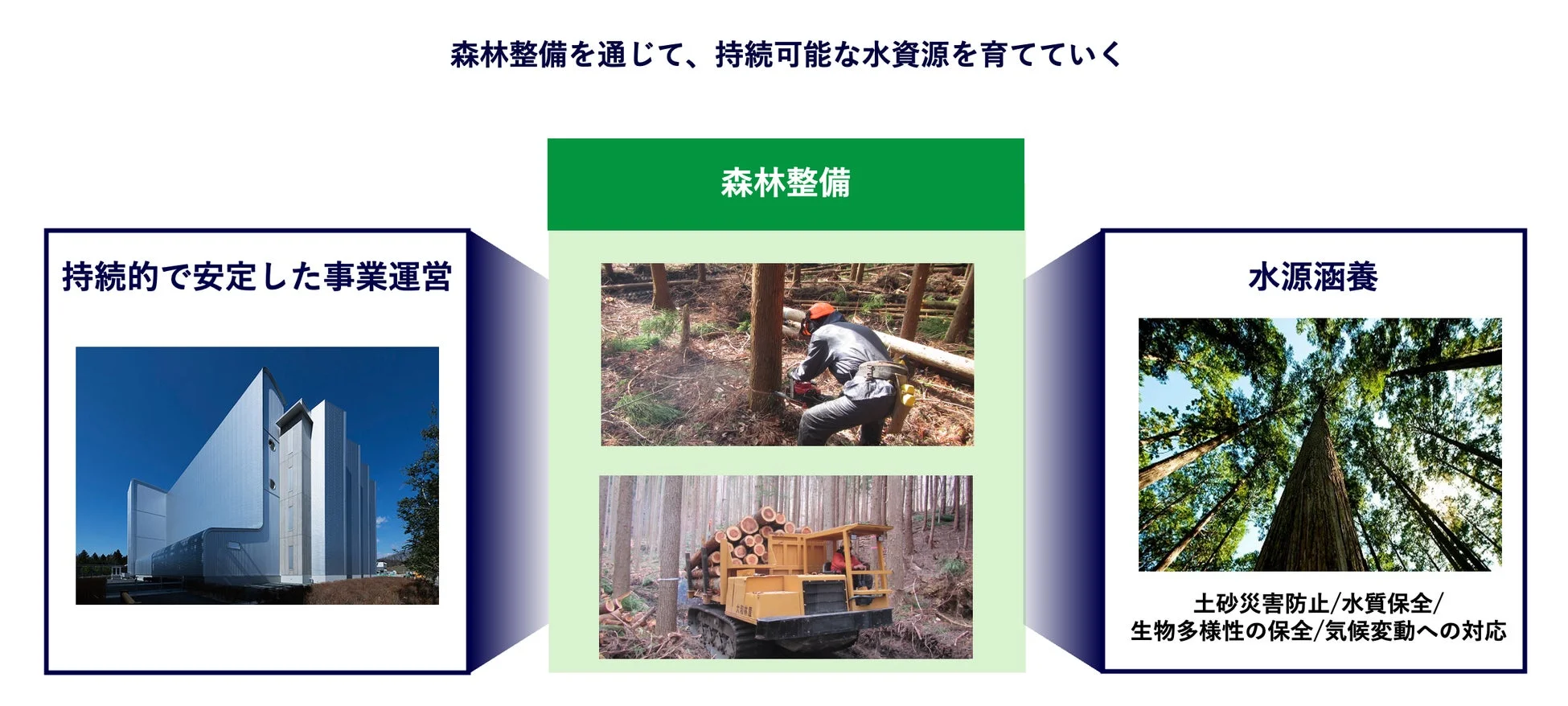 森林整備が持続可能な水資源の育成に貢献する様子を示した図