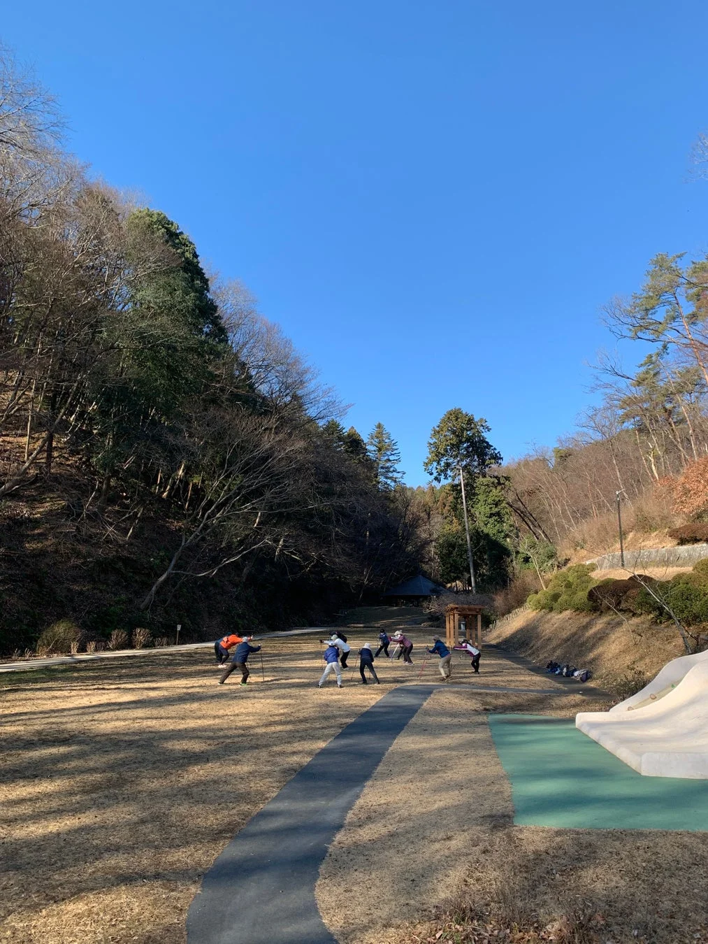 公園でポールを使ったウォーキングや体操をする人々