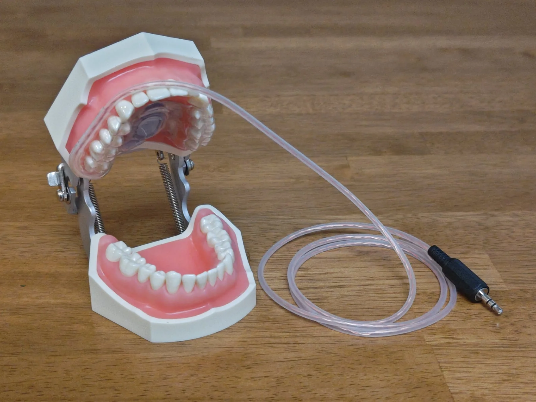 歯科模型に装着されたマウスピース