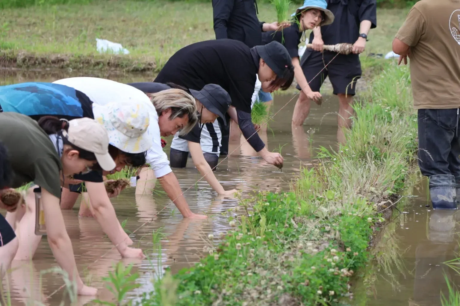 田んぼプロジェクト