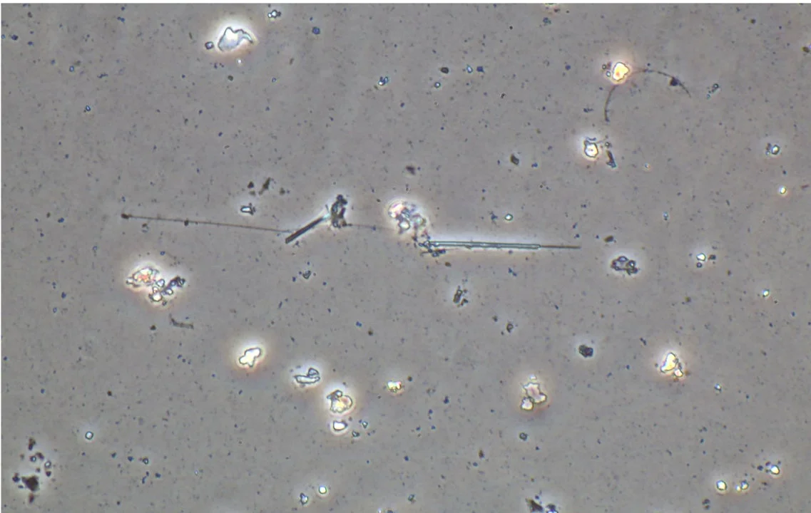 顕微鏡で捉えられた粒子と繊維の画像