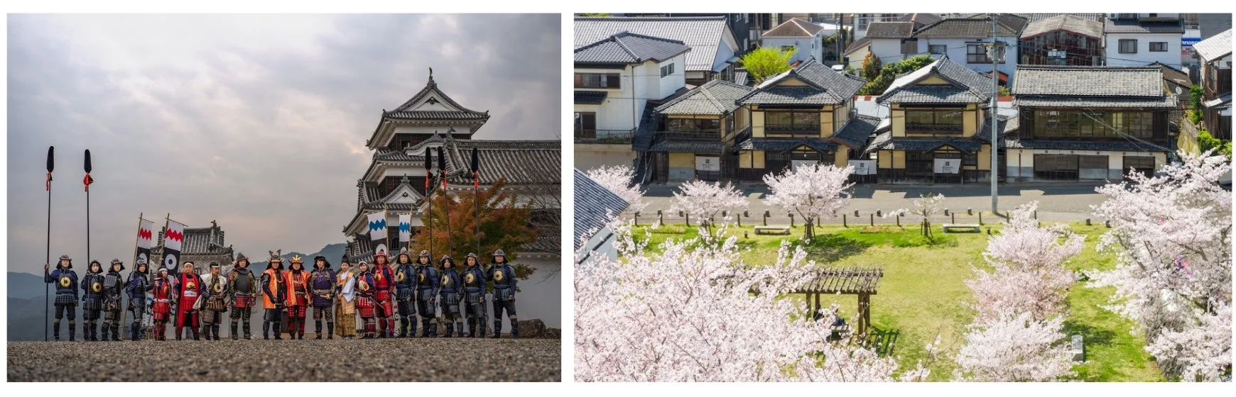 大洲城と侍、桜の風景