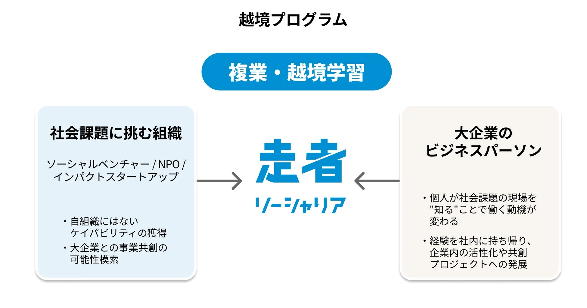 越境プログラムの概念図