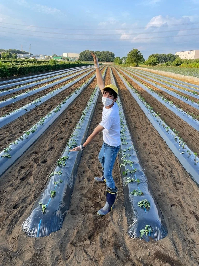 ビニールマルチで覆われた広大な畑で、黄色い帽子とマスクを着用した男性が片手を上げてポーズをとっています。青空の下、農作業を楽しんでいる様子が伝わる一枚です。