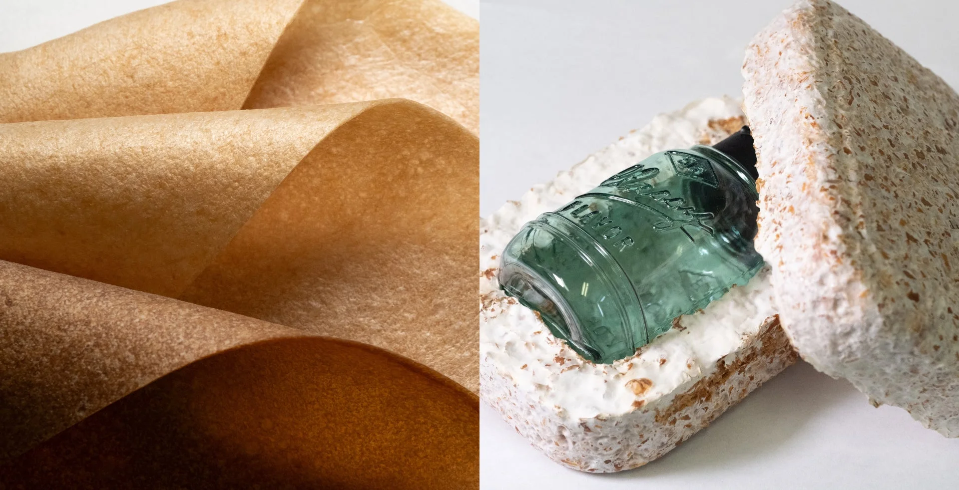 キノコ由来素材