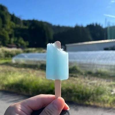 アイスキャンディ