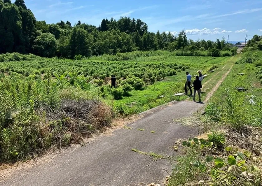 夏の晴れた日に、緑豊かな畑と森が広がる田園地帯で、数人が農道のような小道を歩いている様子。